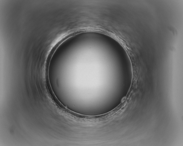 X0000112870008200909041630