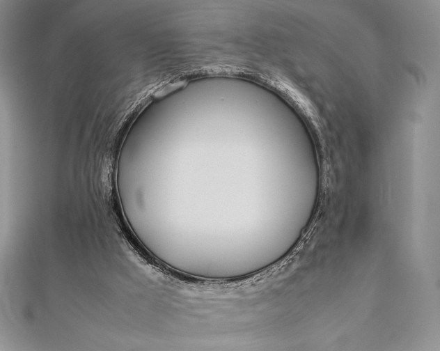 X0000112870009200909041630