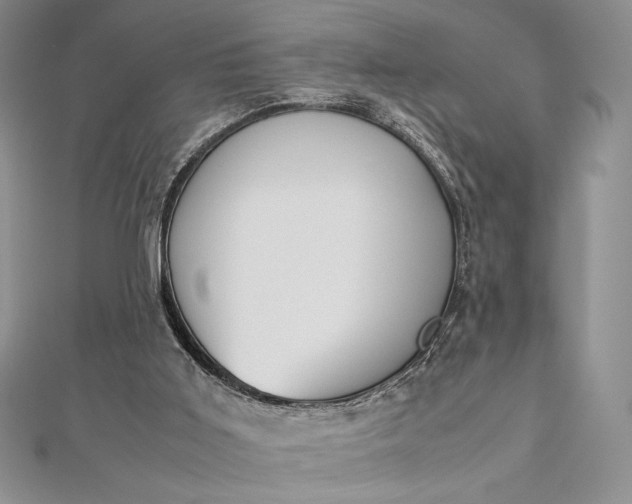 X0000112870011200909041630