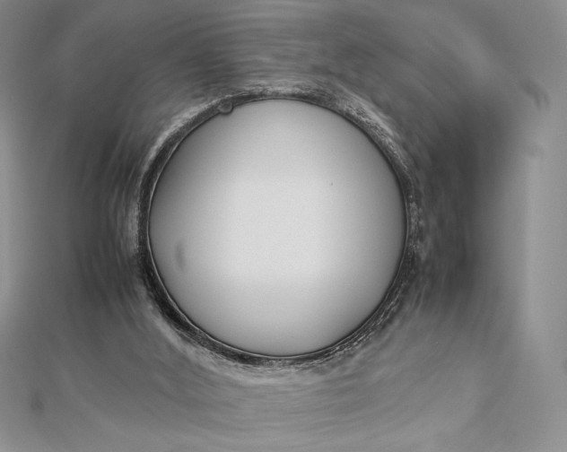 X0000112870012200909041630