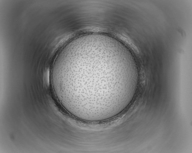 X0000112870014200909041630