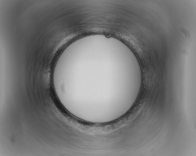 X0000112870016200909041630