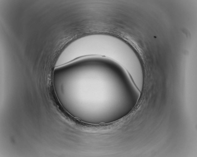 X0000112870017200909041630