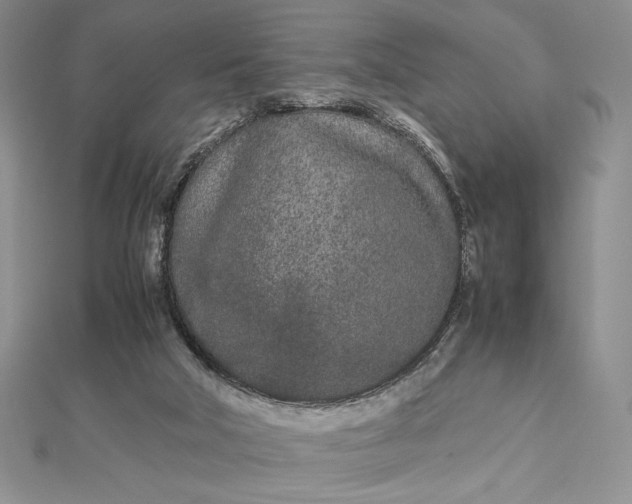 X0000112870018200909041630