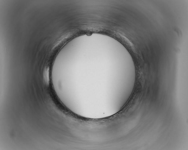 X0000112870020200909041630