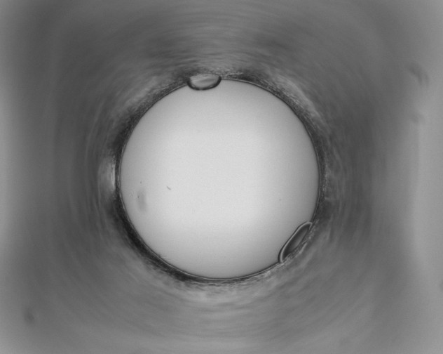 X0000112870021200909041630