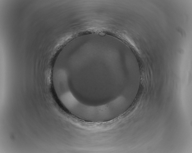 X0000112870023200909041630