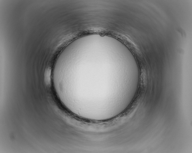 X0000112870024200909041630