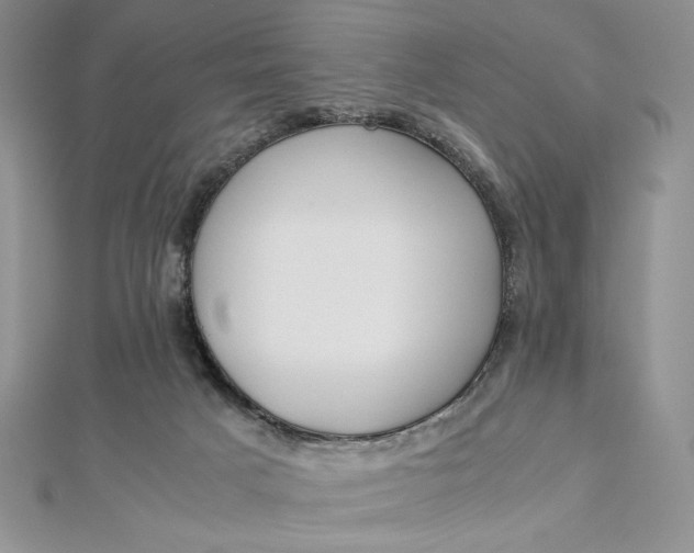 X0000112870025200909041630