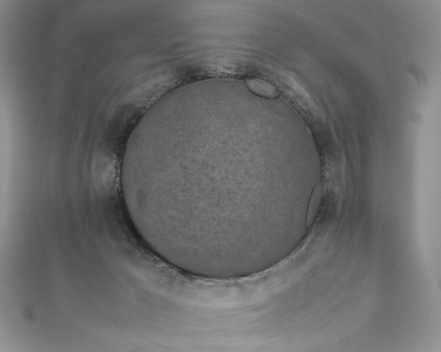 X0000112870029200909041630