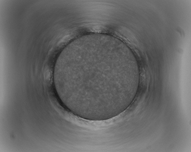 X0000112870031200909041630