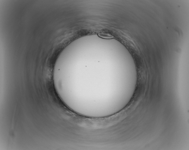 X0000112870033200909041630