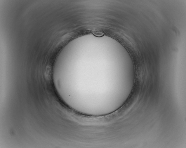 X0000112870036200909041630