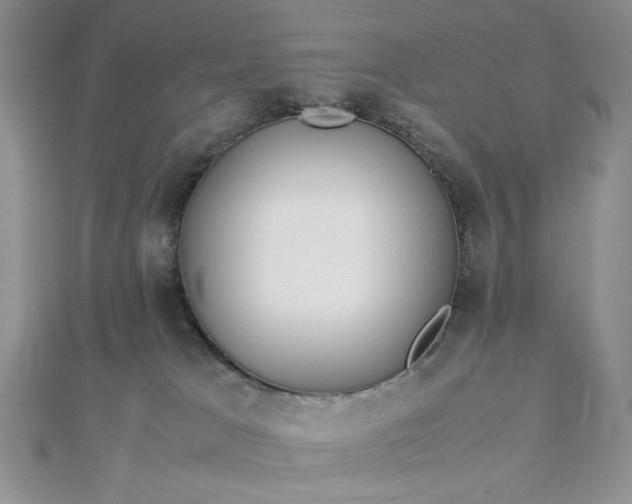 X0000112870037200909041630