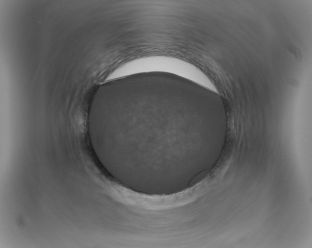 X0000112870039200909041630