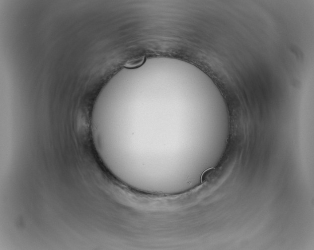 X0000112870040200909041630