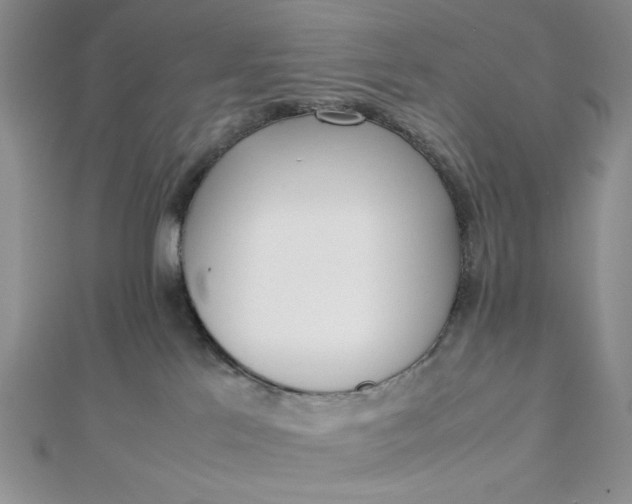 X0000112870041200909041630