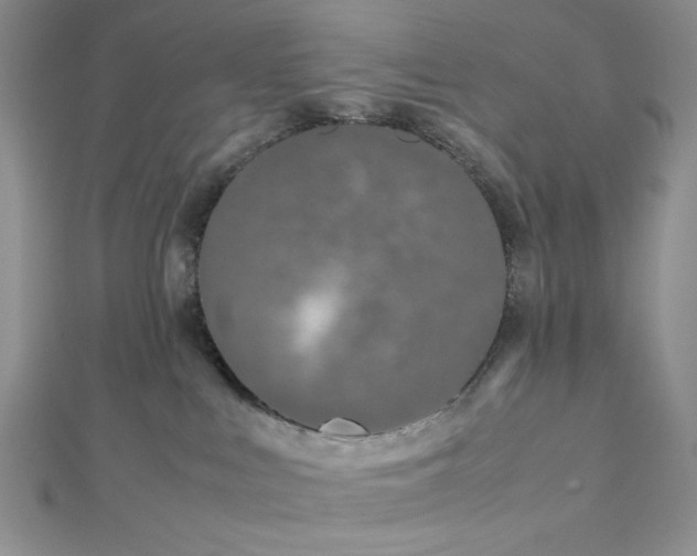 X0000112870043200909041630