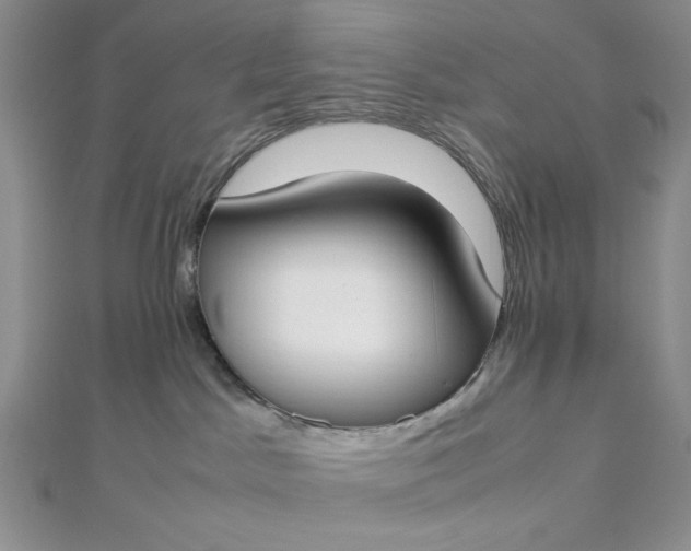 X0000112870045200909041630