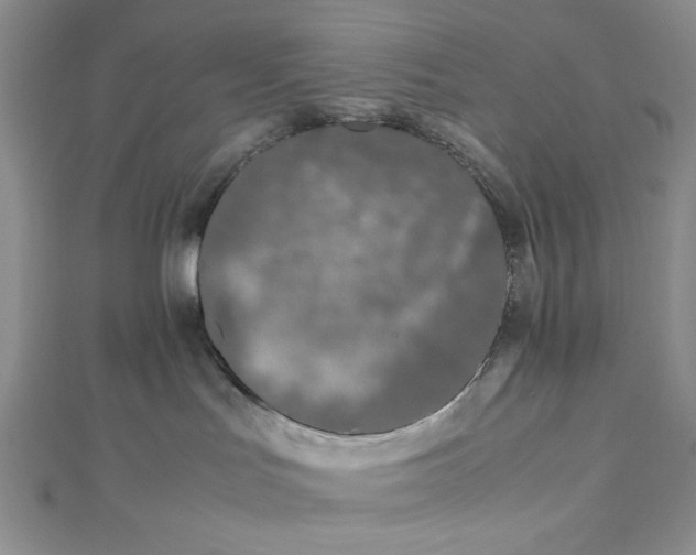 X0000112870047200909041630