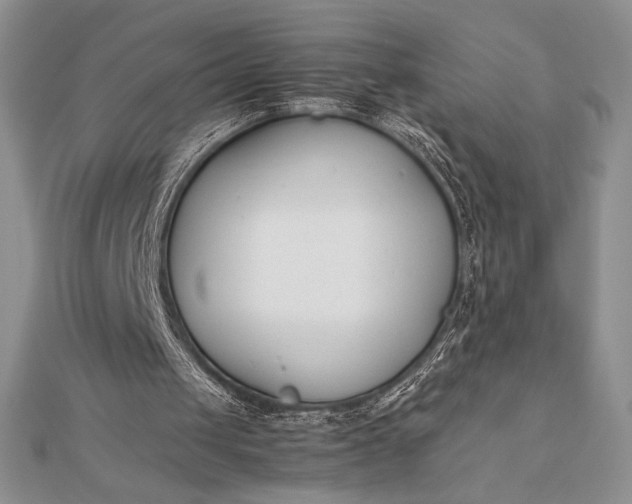 X0000112870049200909041629