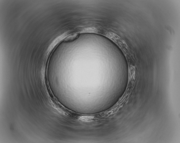 X0000112870051200909041629