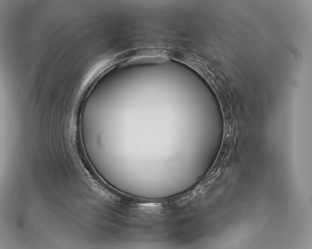 X0000112870053200909041629