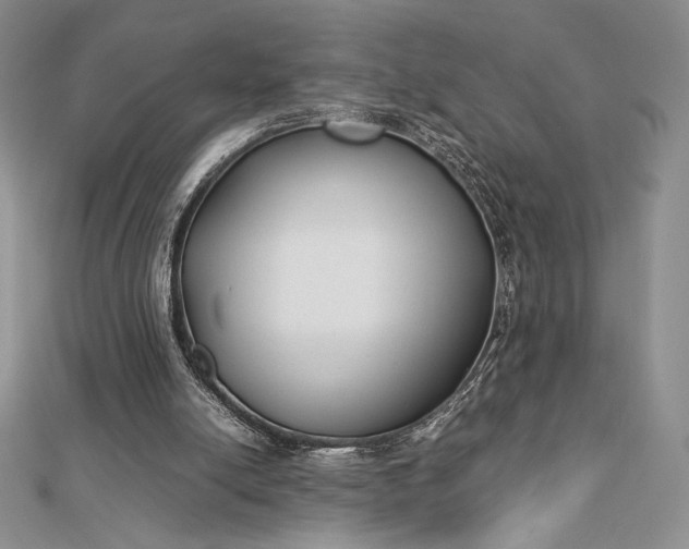 X0000112870054200909041629