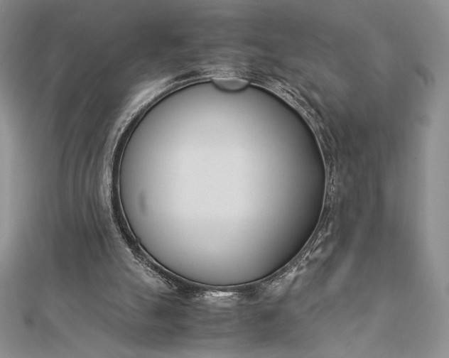 X0000112870055200909041629