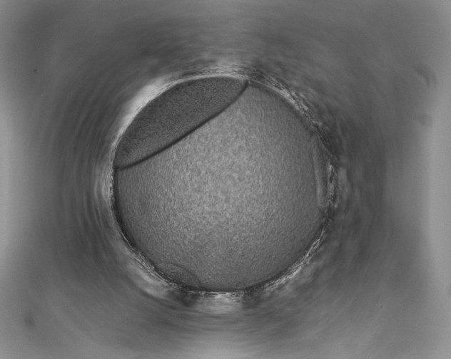 X0000112870056200909041629