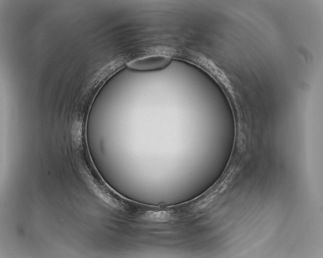 X0000112870057200909041629