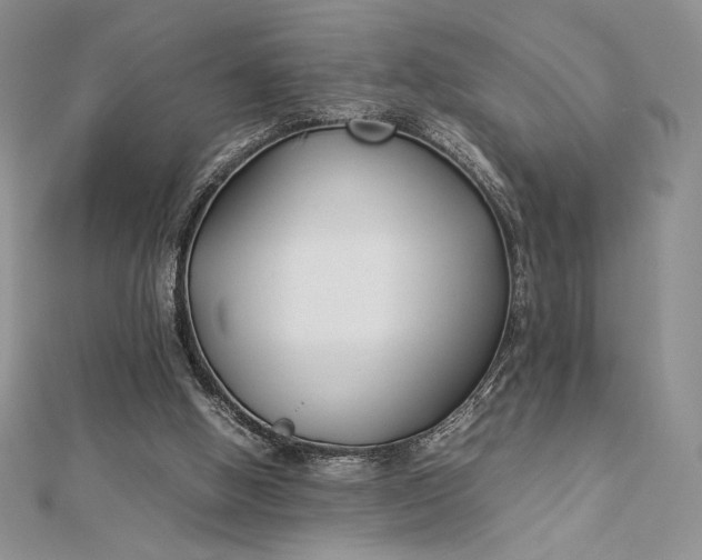 X0000112870058200909041629