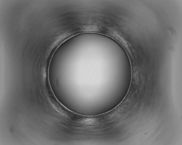 X0000112870059200909041629