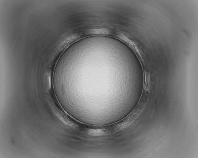 X0000112870061200909041629