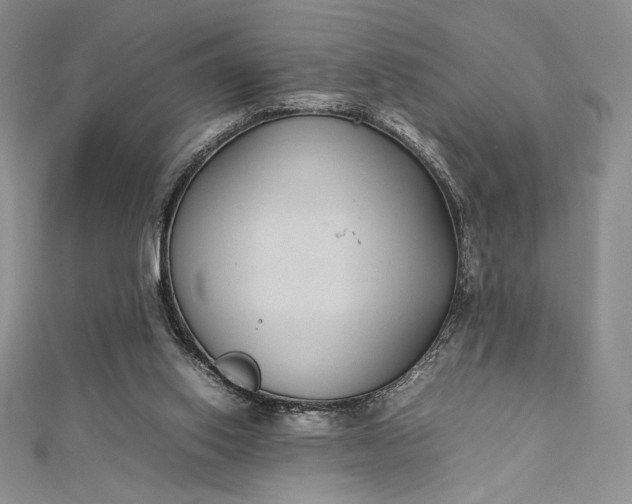 X0000112870062200909041629