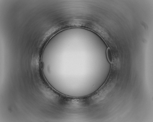 X0000112870064200909041629