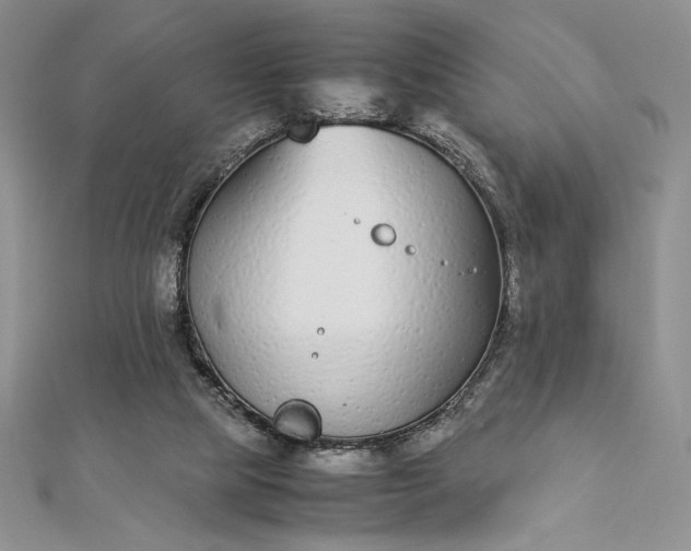 X0000112870065200909041629