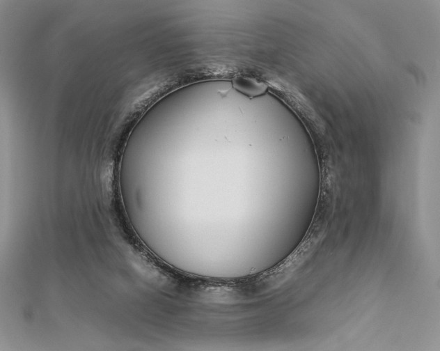 X0000112870066200909041629