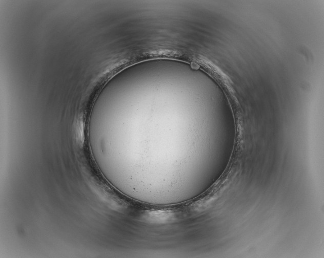 X0000112870067200909041629