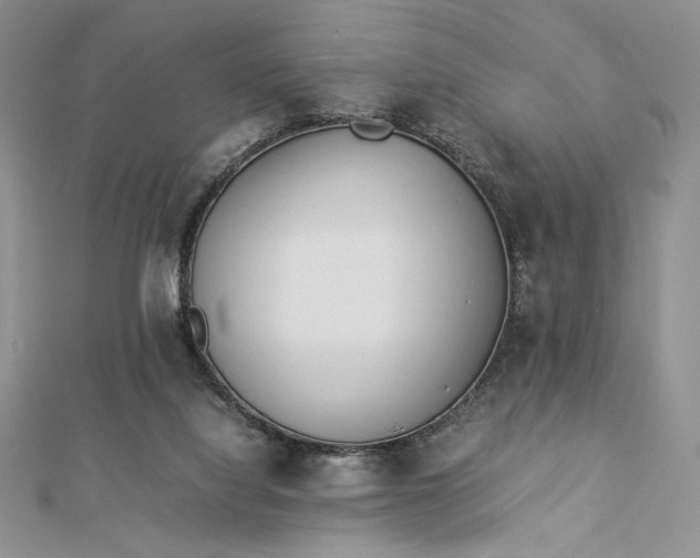 X0000112870068200909041629