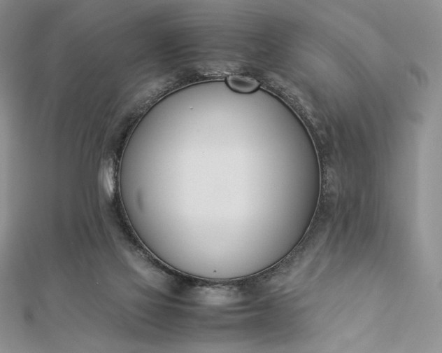 X0000112870069200909041629