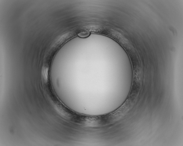 X0000112870070200909041629