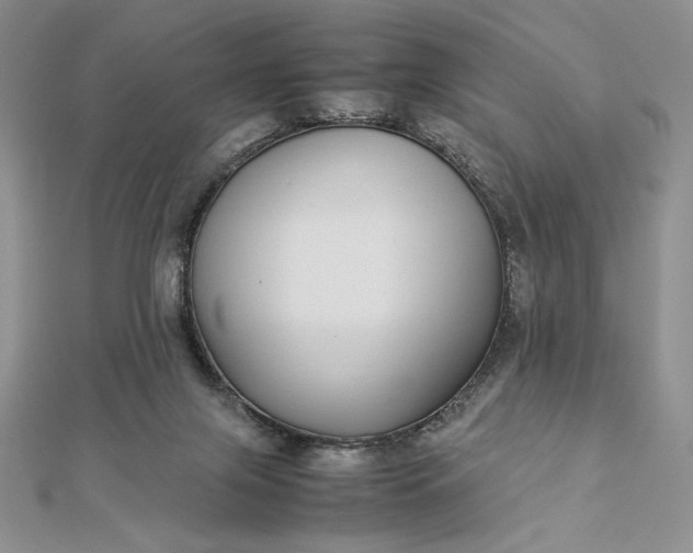 X0000112870071200909041629