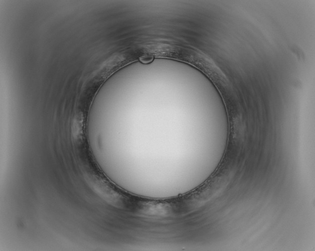 X0000112870073200909041629