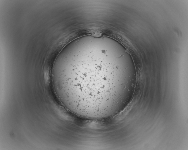 X0000112870074200909041629