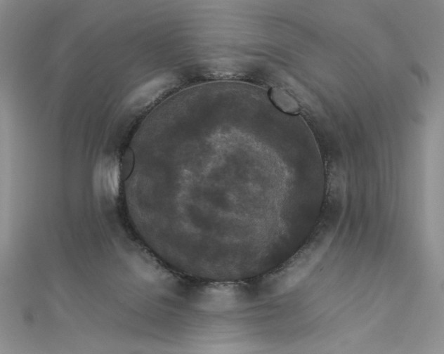 X0000112870076200909041629