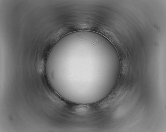 X0000112870077200909041629