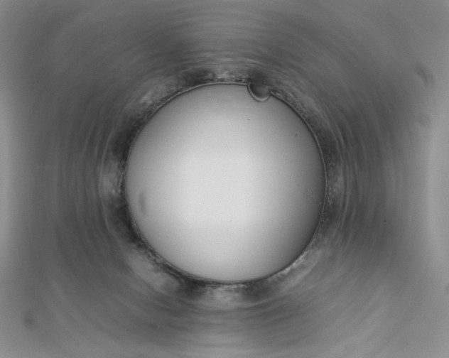 X0000112870078200909041629