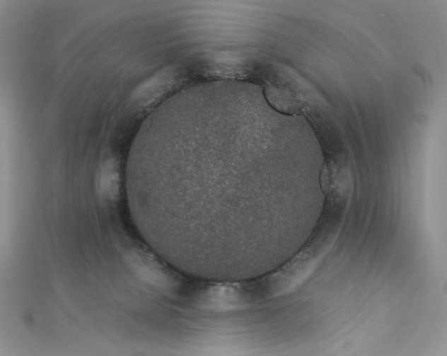 X0000112870080200909041629