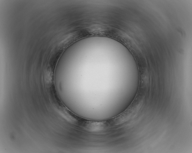 X0000112870081200909041629